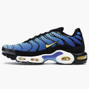 Nike Air Max Plus Greedy