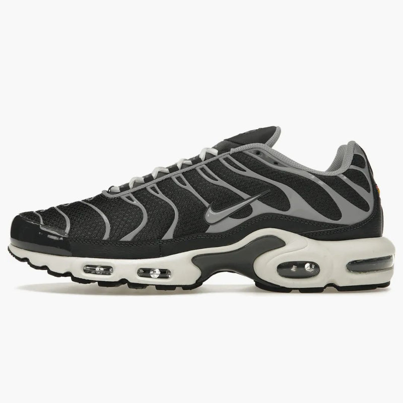 Nike Air Max Plus Greyscale Cool Grey