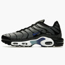 Nike Air Max Plus Kiss My Airs Metallic Silver