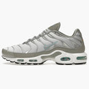 Nike Air Max Plus Light Smoke Grey Glacier Ice