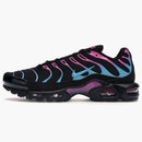 Nike Air Max Plus Miami Vice