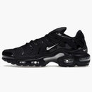 Nike Air Max Plus Mini Swoosh Black Silver