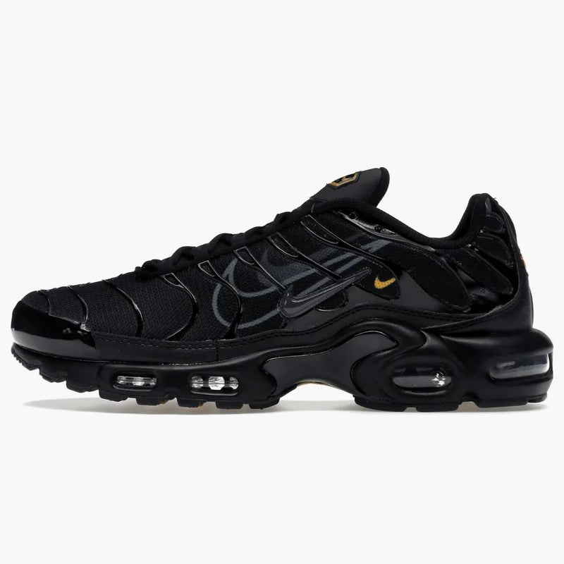 Nike Air Max Plus Multi-swoosh Black