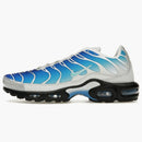 Nike Air Max Plus One Block Down Light Photo Blue