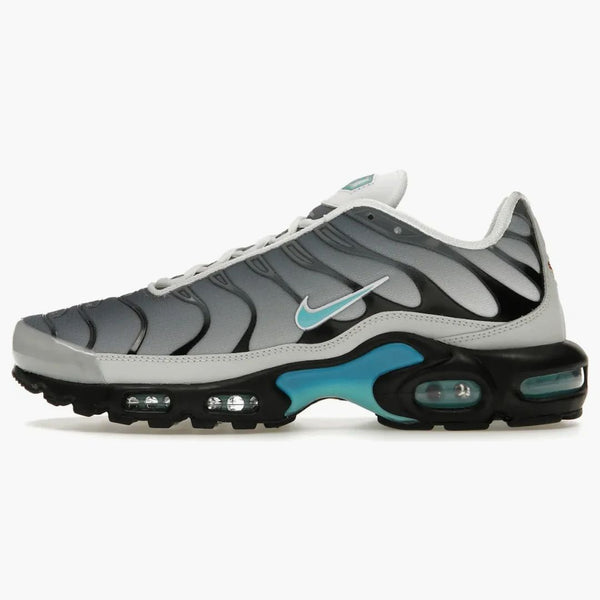 Nike Air Max Plus One Block Down Matte Silver