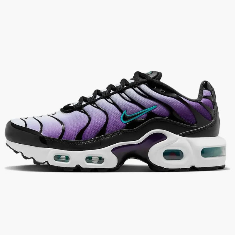 Nike Air Max Plus Reverse Grape (gs)