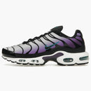 Nike Air Max Plus Reverse Grape