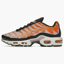 Nike Air Max Plus Sherbert (women's)