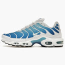 Nike Air Max Plus Sky Blue