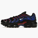 Nike Air Max Plus Spider-man (gs)