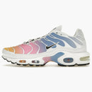Nike Air Max Plus Summer Gradient (women's)