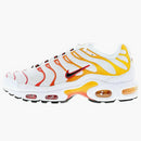 Nike Air Max Plus Sunburn (2014)
