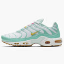 Nike Air Max Plus Teal Twist (women's)