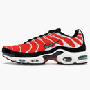 Nike Air Max Plus Team Orange Neptune Green