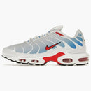 Nike Air Max Plus Tide (2022)