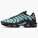 Nike Air Max Plus Aqua Blue