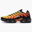 Nike Air Max Plus Tiger