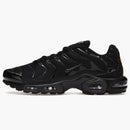 Nike Air Max Plus Triple Black (2021)