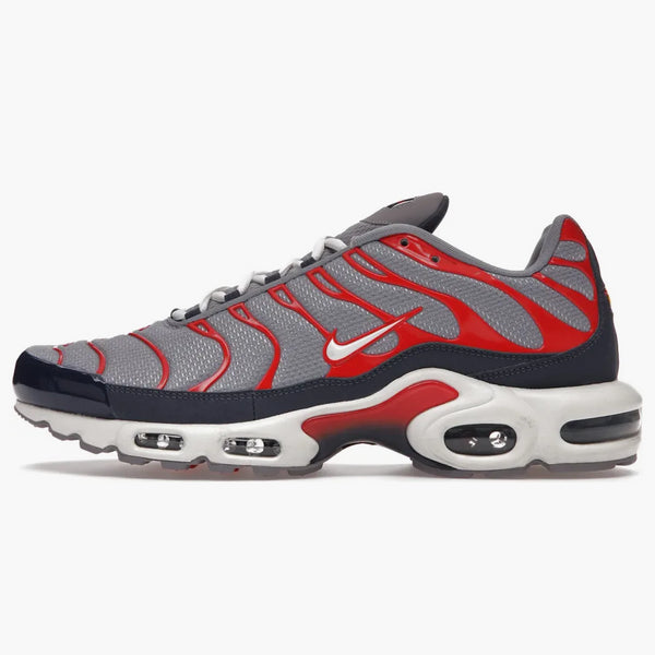 Nike Air Max Plus Usa Grey