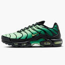 Nike Air Max Plus Vapor Green Malachite Black Light Lemon Twist