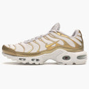 Nike Air Max Plus Vast Grey Metallic Gold (women's)