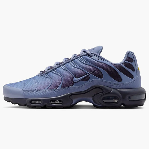 Nike Air Max Plus World Indigo