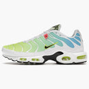 Nike Air Max Plus Worldwide