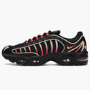 Nike Air Max Tailwind 4 49ers