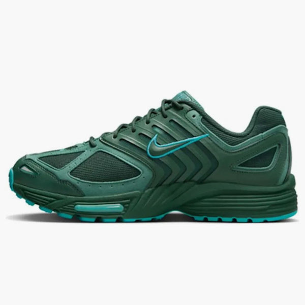 Nike Air Peg 2k5 Fir Bicoastal