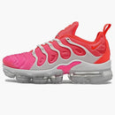 Nike Air Vapormax Plus Platinum Tint (women's)