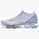 Nike Air Vapormax 2 Pure Platinum Arctic Pink (women's)