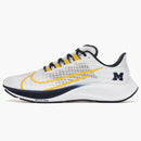 Nike Air Zoom Pegasus 37 Michigan
