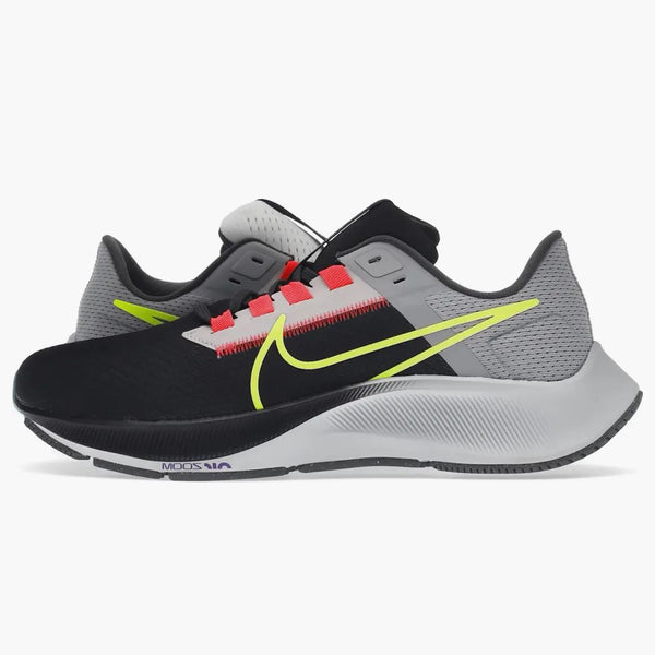 Nike Air Zoom Pegasus 38 Le Greedy (women's)