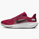 Nike Air Zoom Pegasus 41 Arkansas Razorbacks