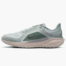 Nike Air Zoom Pegasus 41 Gore-tex Light Pumice Metallic Silver