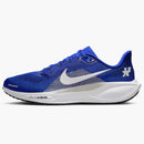 Nike Air Zoom Pegasus 41 Kentucky Wildcats