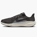 Nike Air Zoom Pegasus 41 Medium Ash Pure Platinum
