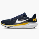 Nike Air Zoom Pegasus 41 Michigan Wolverines