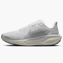 Nike Air Zoom Pegasus 41 Silver Glitter (women's)