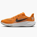 Nike Air Zoom Pegasus 41 Tennessee Volunteers
