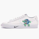 Nike Blazer Flyleather Steve Harrington Earth Day (2019)