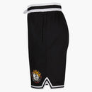 Nike Brooklyn Nets X Biggie Dna Shorts Black/white