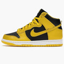 Nike Dunk High Iowa (2020)