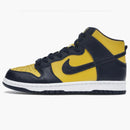 Nike Dunk High Michigan (2020)