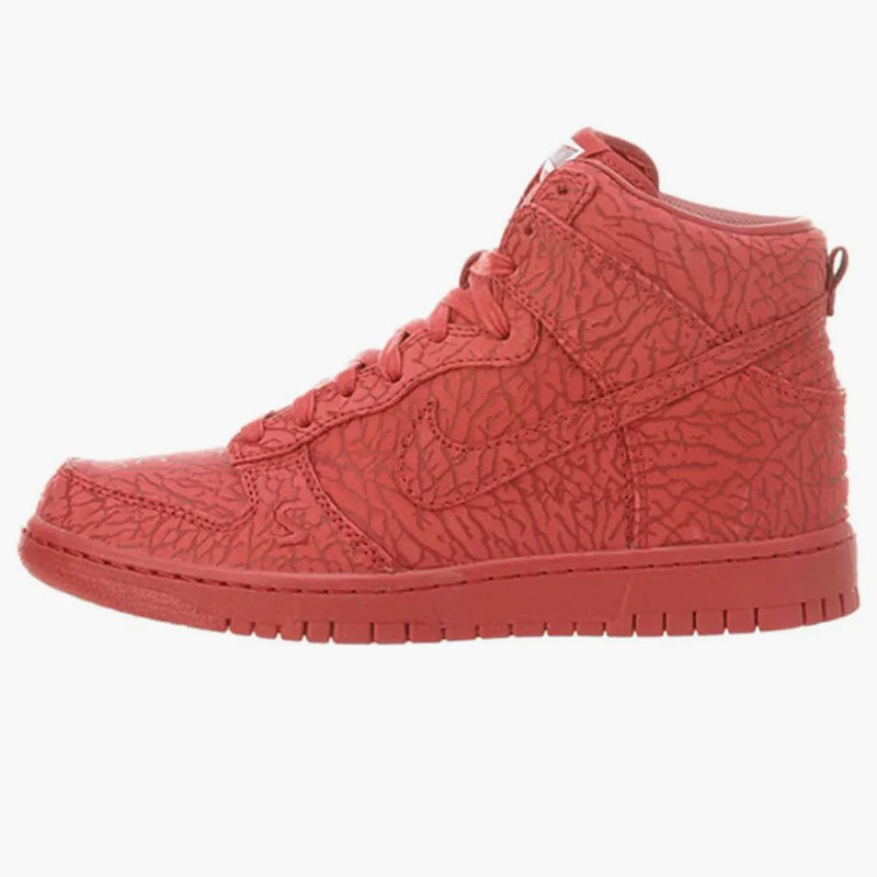 Nike Dunk High Premium Ultimate Glory