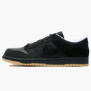 Nike Dunk Low Anthracite Astro