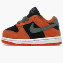 Nike Dunk Low Ceramic (2020) (td)