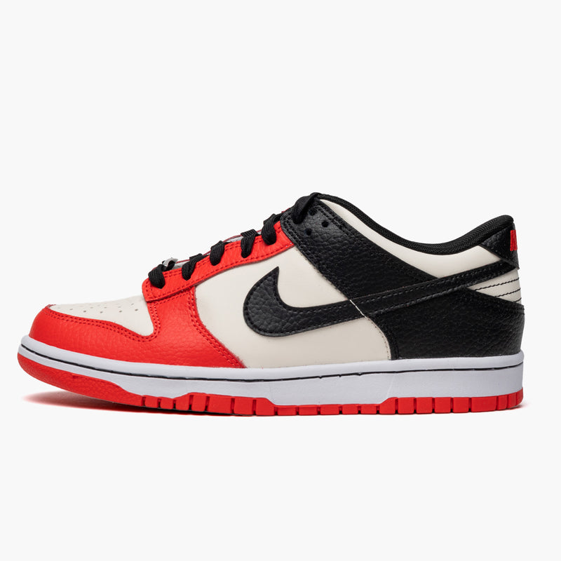 Nike Dunk Low EMB NBA 75th Anniversary Chicago (GS)