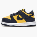 Nike Dunk Low Michigan (2021) (td)