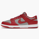 Nike Dunk Low Retro Unlv (2021)